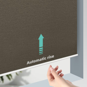 Wireless Roller Shades